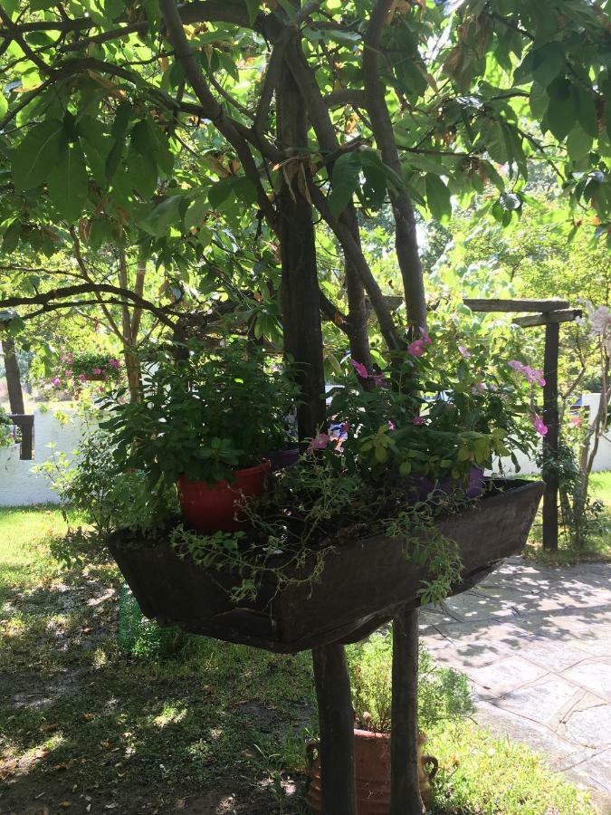 Konakari Garden * Stavros (Thessaloniki)